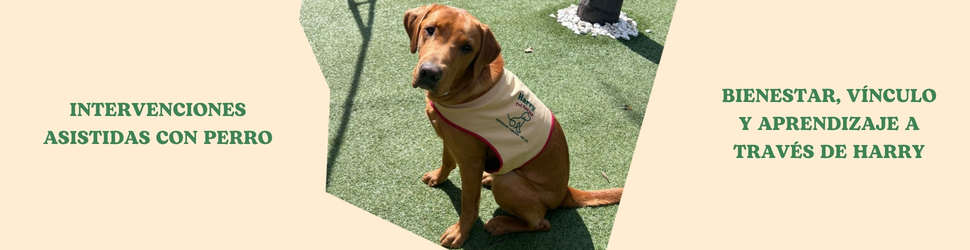 intervenciones asistidas con perro bienestar, vínculo y aprendizaje