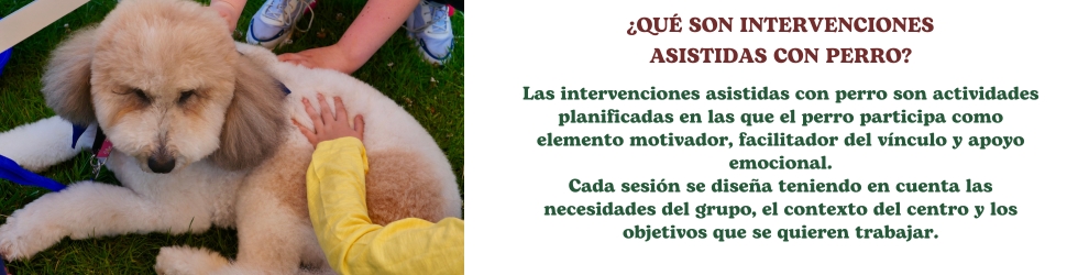 foto web