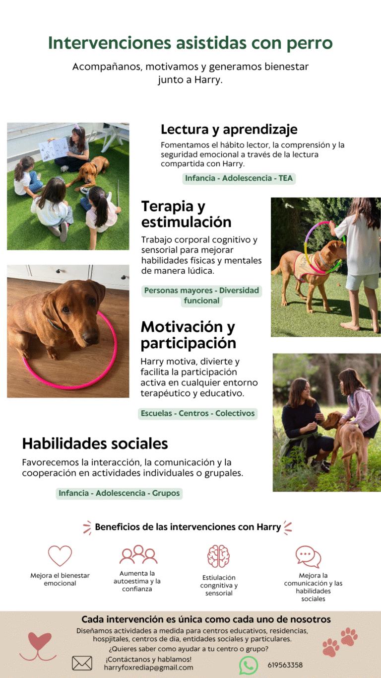 copia de infografía iap (historia de instagram)